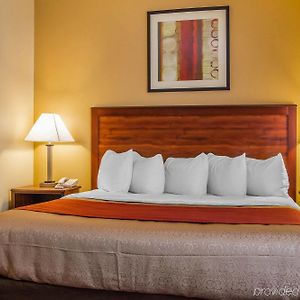 King Suite Sofa Bed Non-Smoking